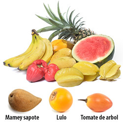 Frutas Latinas