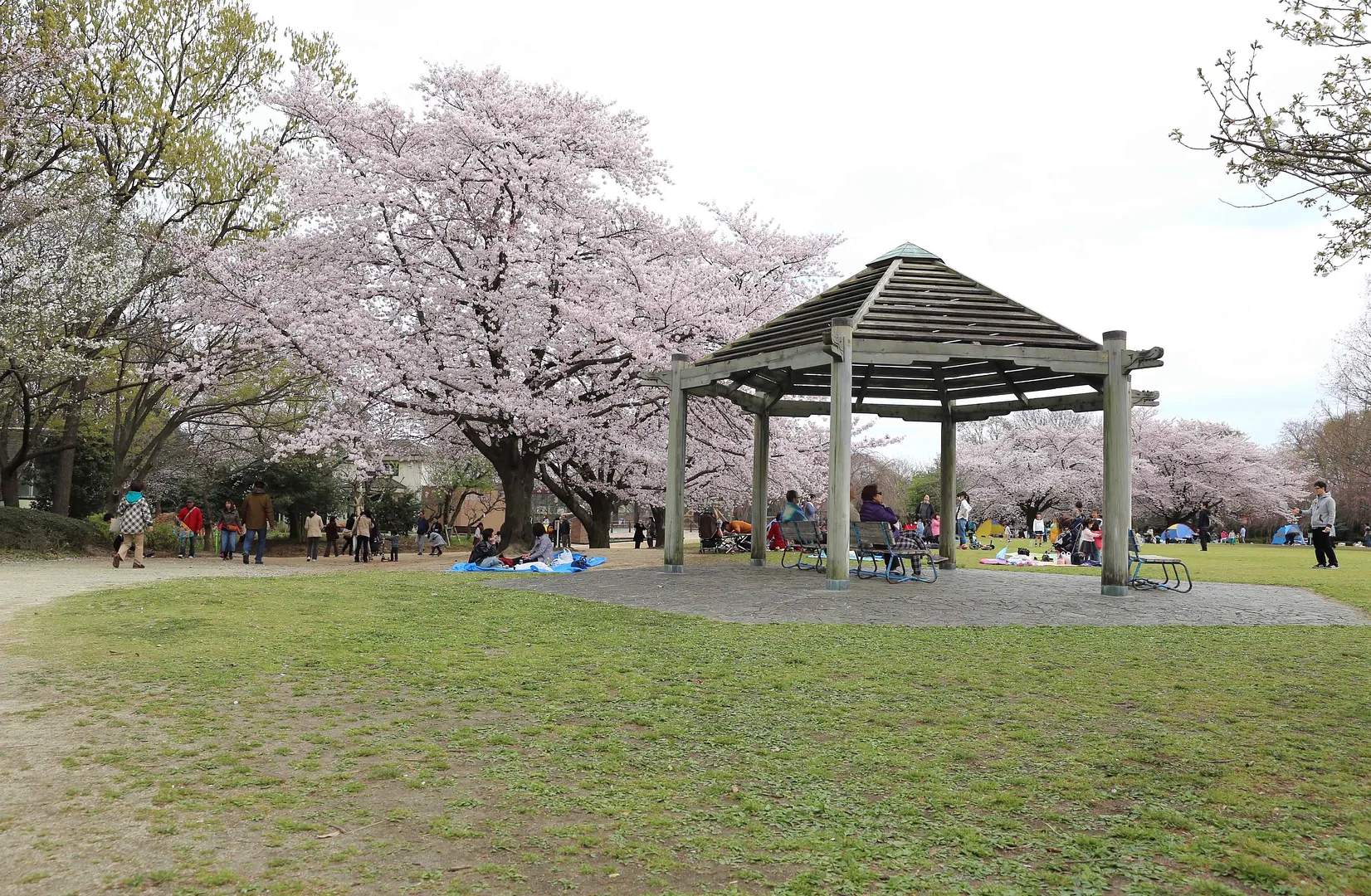 市民の森見沼グリーンセンター徹底解説！りすの家と駐車場の混雑実態