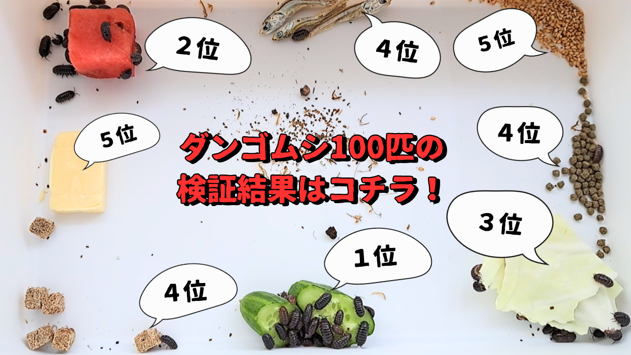 リカちゃん電話は2026年現在も繋がる？番号・料金と都市伝説の真相