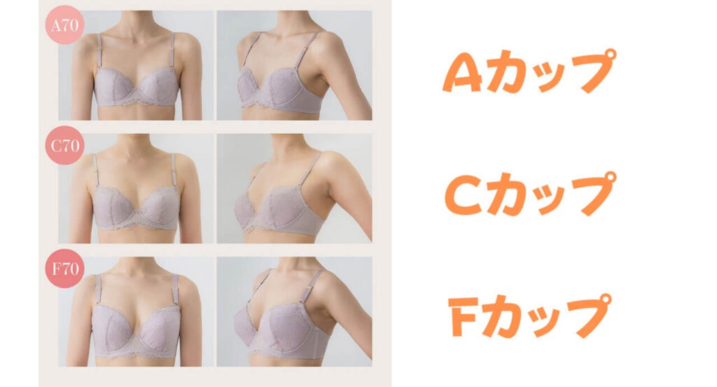 おっぱいのカップ数の真実！見た目と重さの違い・正しい測り方と平均