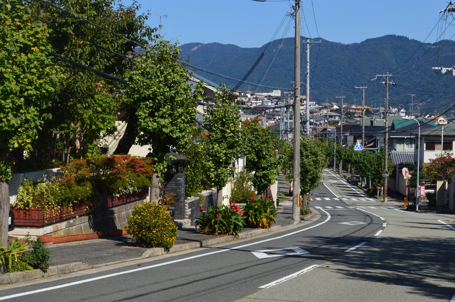 建設仮勘定とは？減価償却できない理由と仕訳・税務調査の盲点を徹底解剖