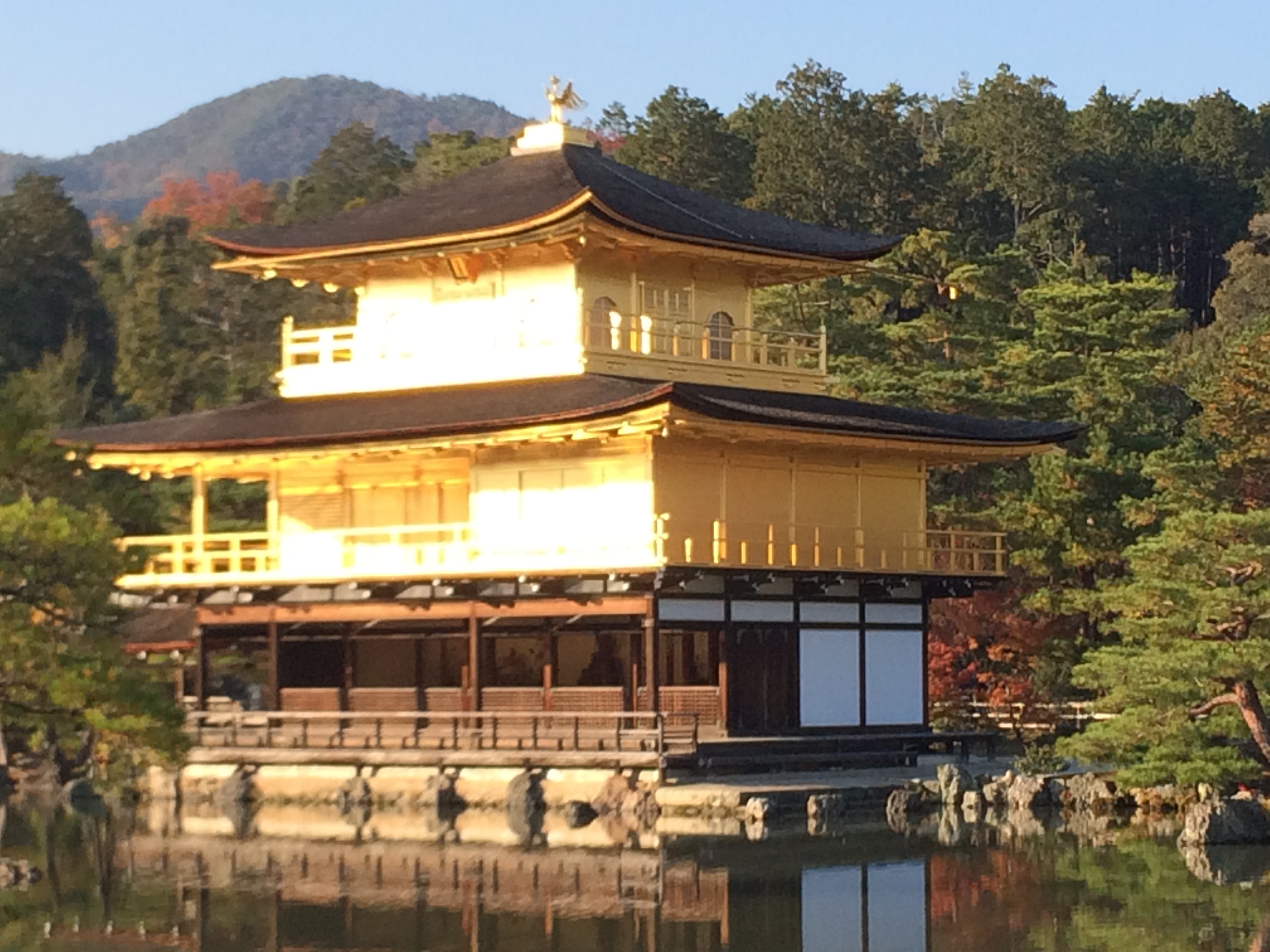金閣寺ラーメン激戦区！プロ厳選の名店＆地元穴場ランチ完全ガイド