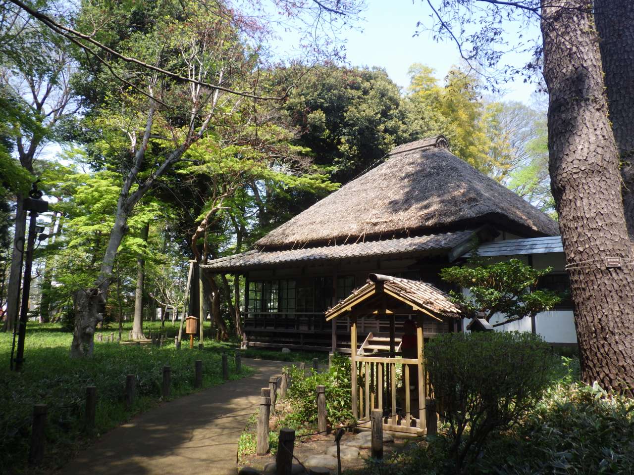 世田谷・蘆花恒春園が愛される理由！旧宅散策から花の丘まで徹底取材