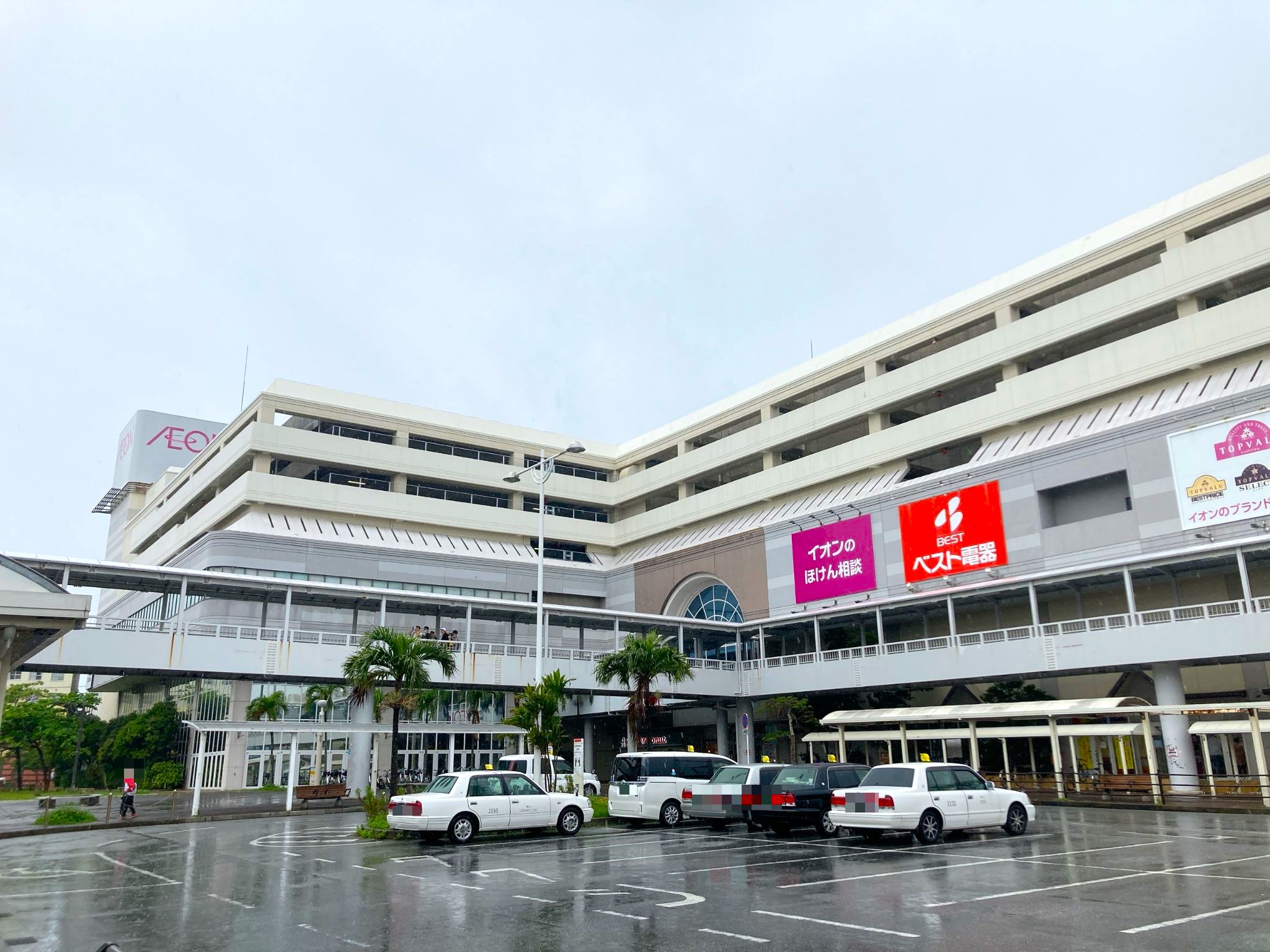 カインズ福岡新宮店の最新攻略法！営業時間や混雑回避・見どころ徹底解説