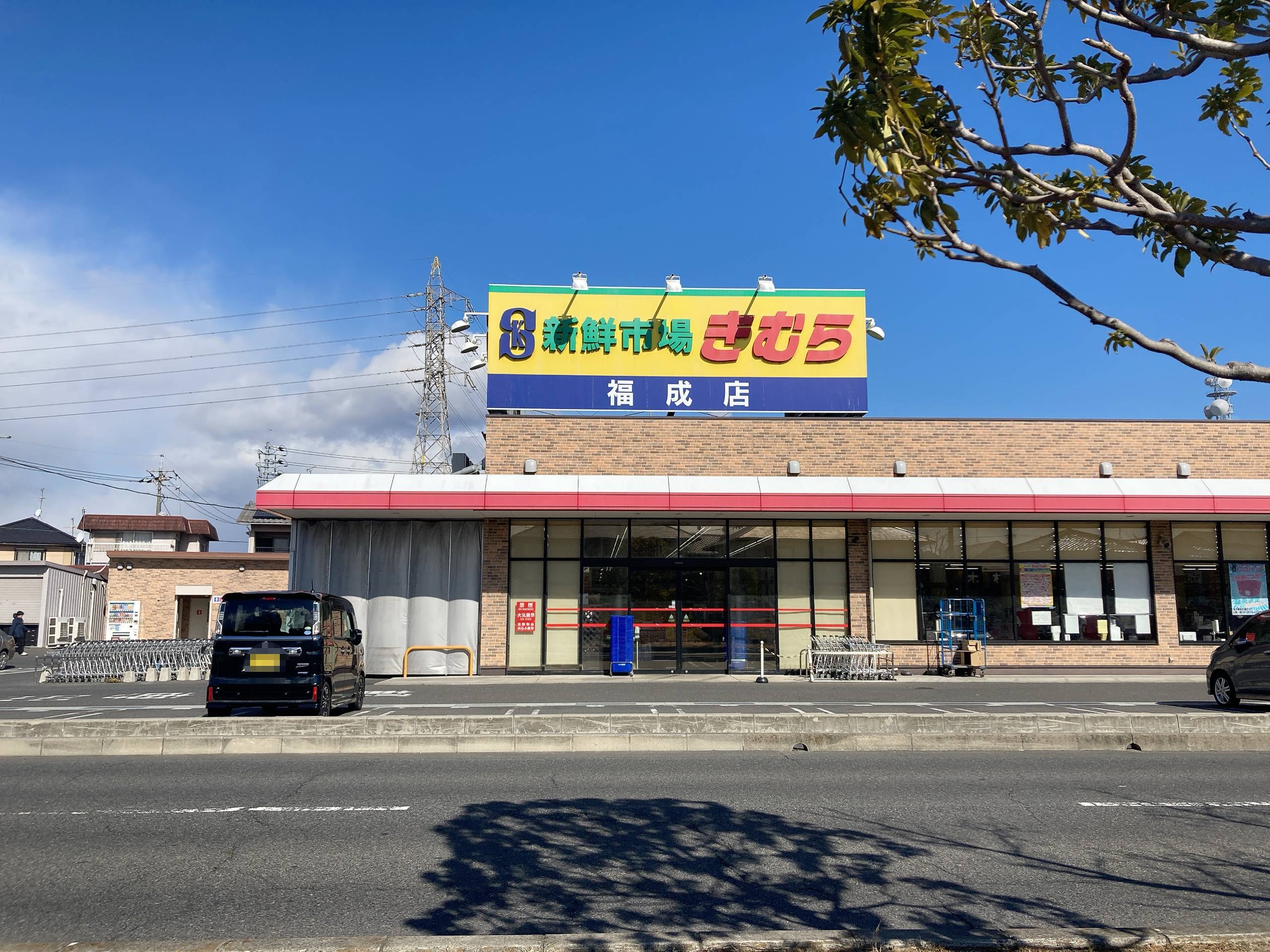 新鮮市場きむら福成店はなぜ安い？鮮魚の評判と2026年混雑回避術