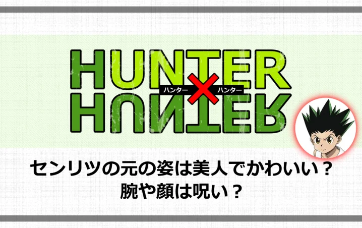 ハンターハンターのセンリツとは？闇のソナタと元の姿、王位継承戦の現在
