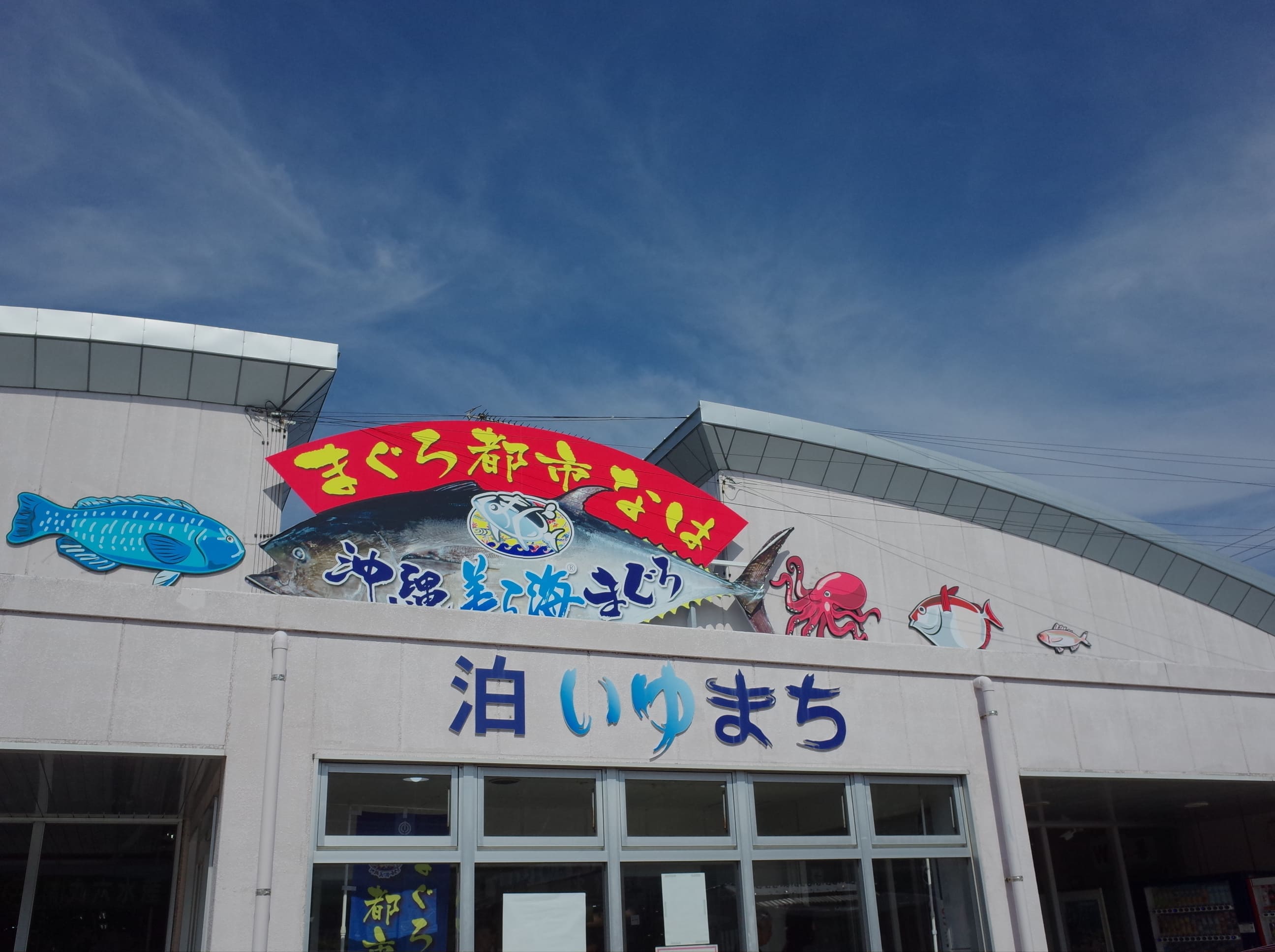 泊港漁市場泊いゆまちの人気理由と海鮮丼攻略！2026年最新ガイド