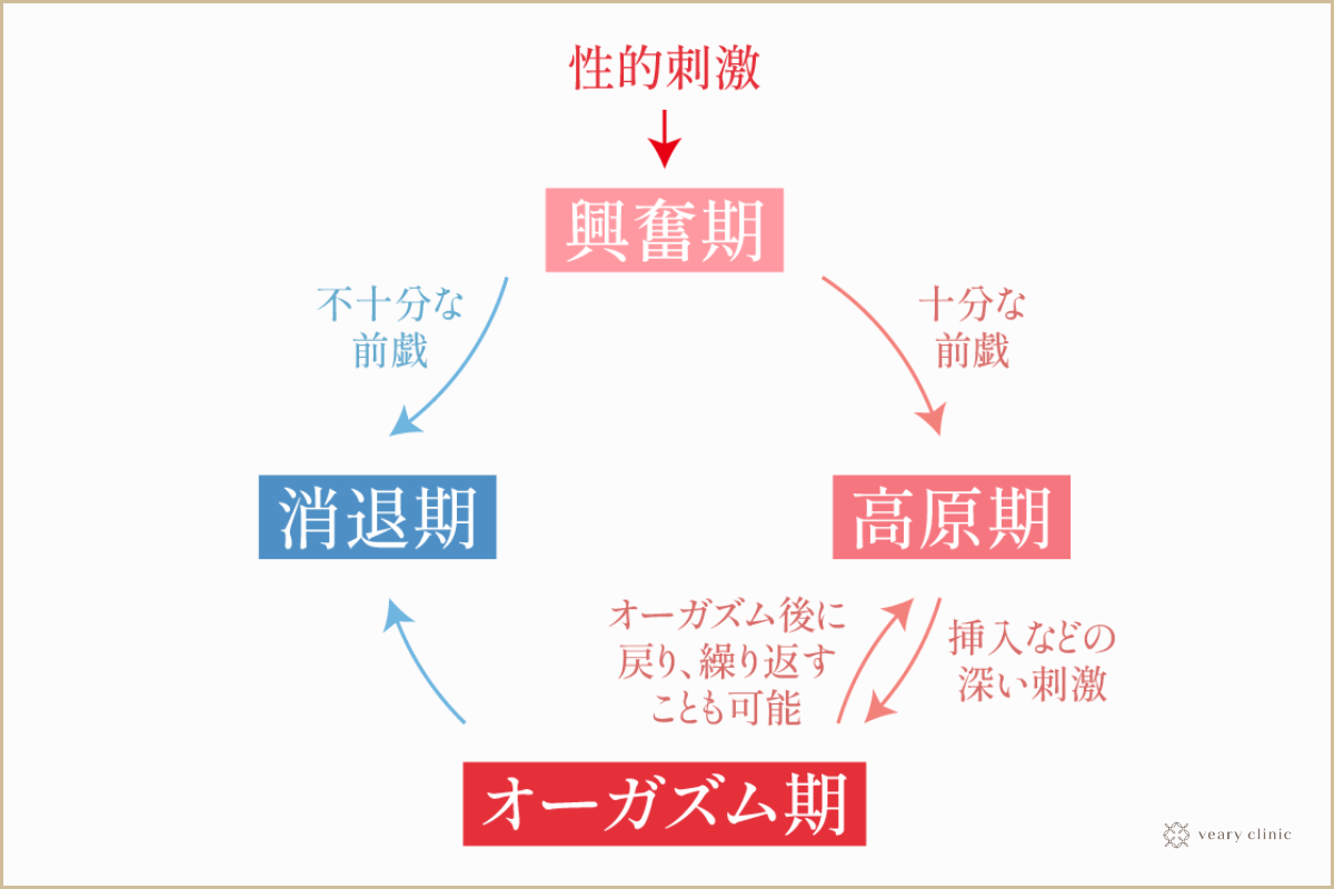 オーガズムの本来の意味とは？身体の仕組みや男女の違いを徹底解説