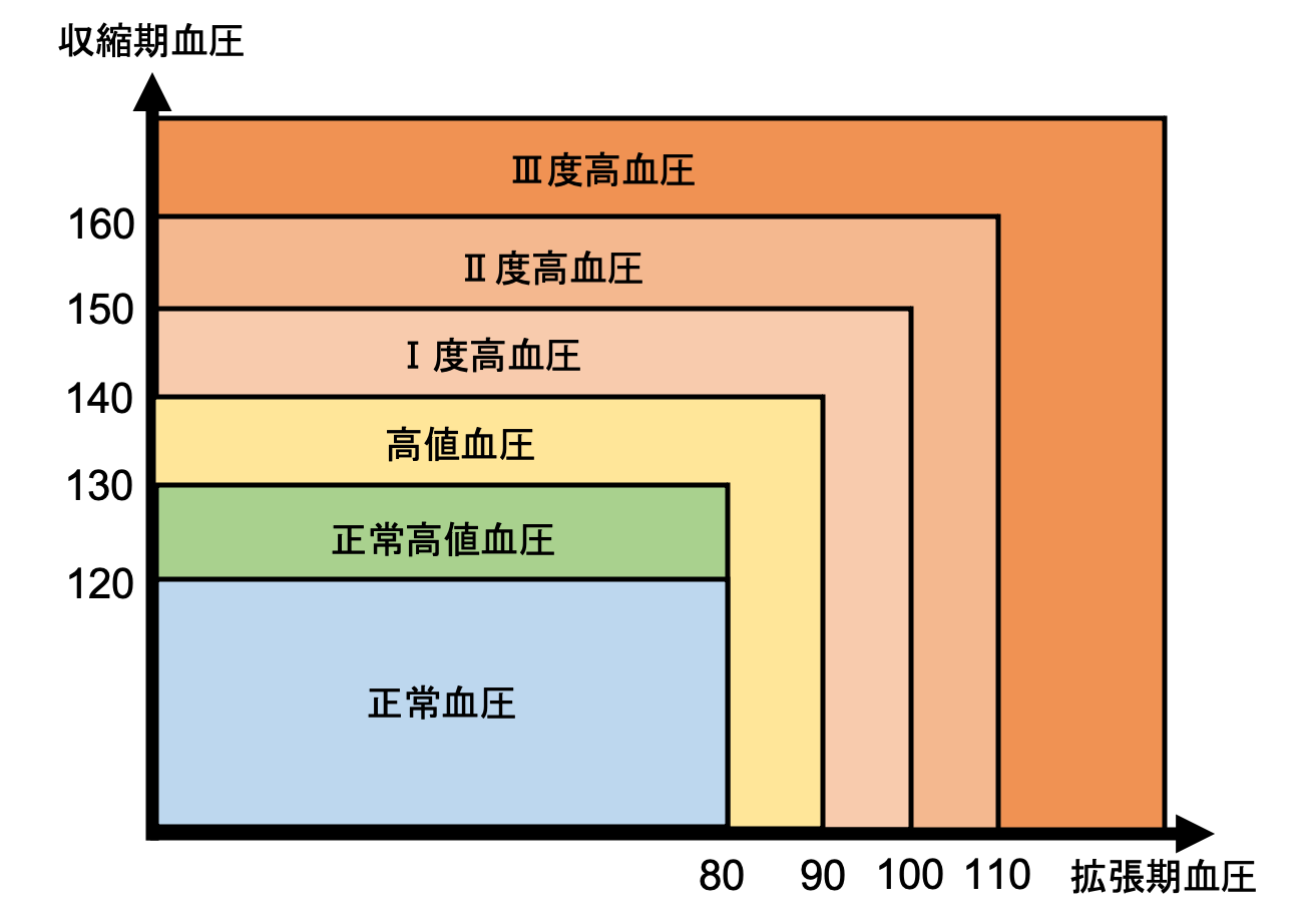 【2026年医療トレンド】仕事の合間15秒で脈拍安定？今世界が注目する「血圧 を 下げる ツボ」の科学的根拠と自律神経リセット術