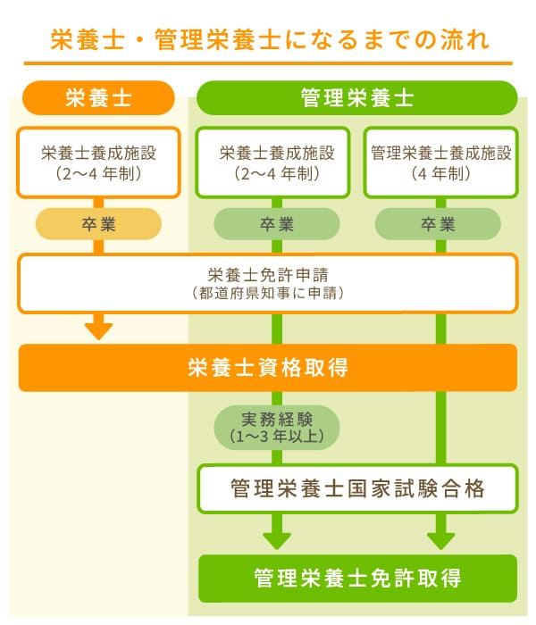 栄養士と管理栄養士は何が違う？年収格差や難易度の真相を徹底解剖