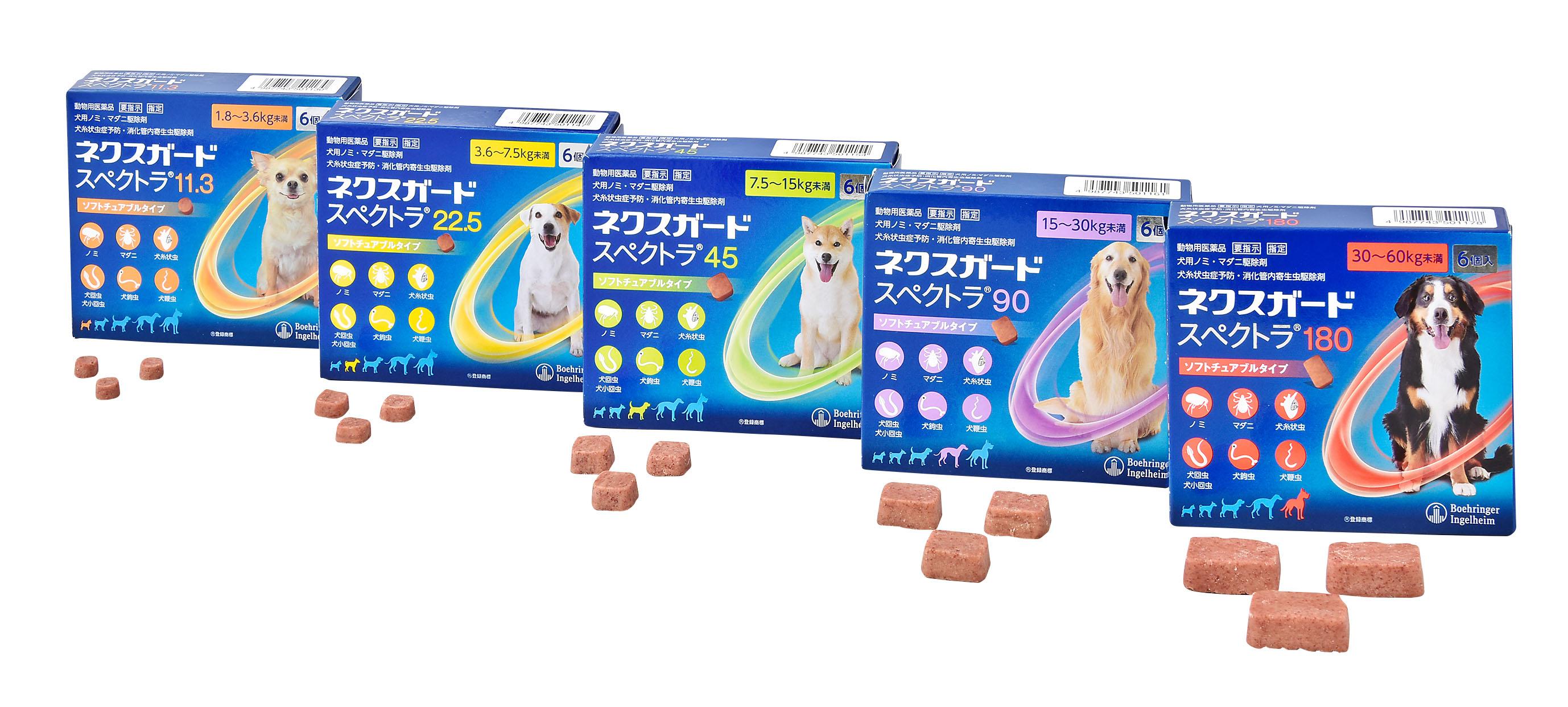 ネクスガードスペクトラ2026徹底検証｜効果と副作用・通販の盲点