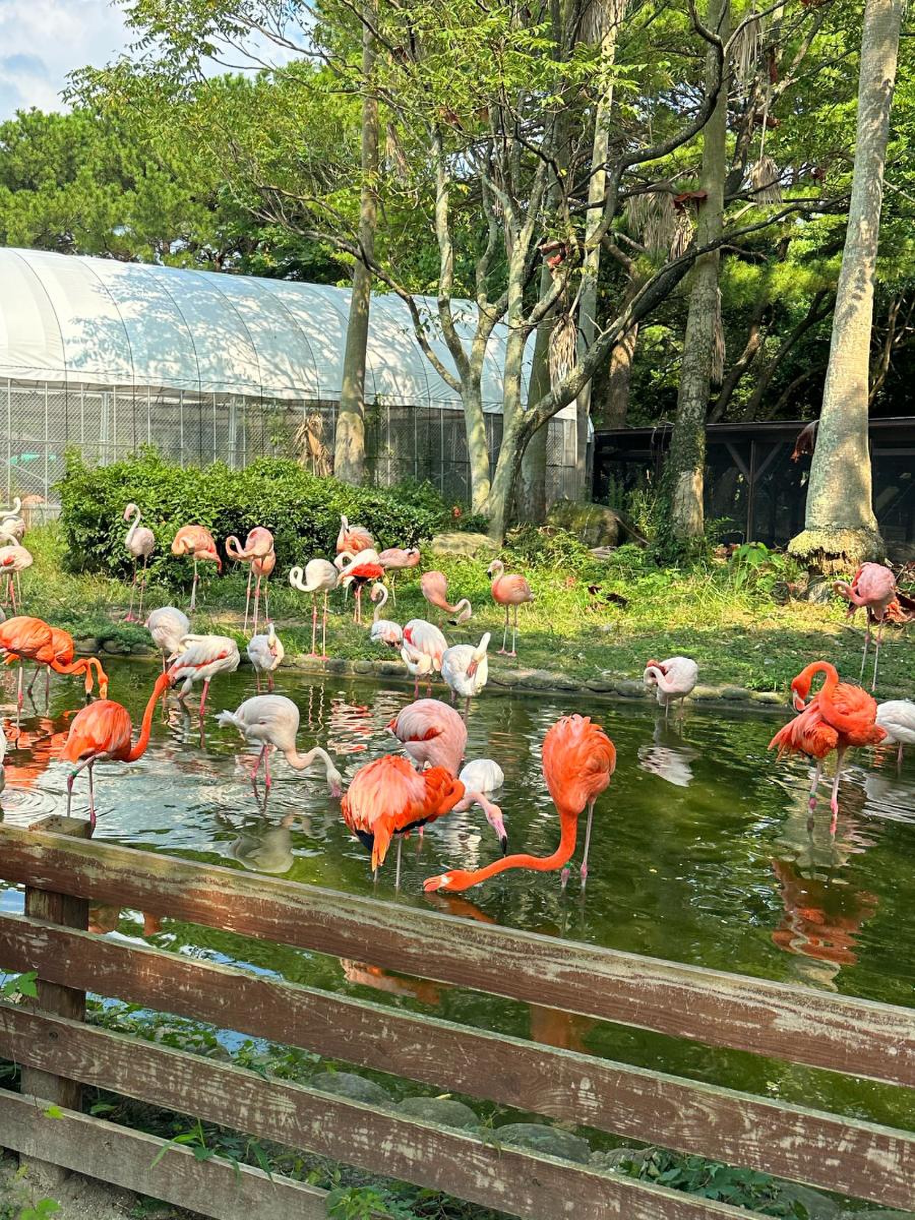 海の中道海浜公園動物の森の料金と見どころ！ふれあい攻略完全ガイド