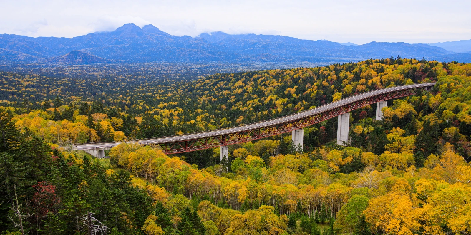 樹海の上を走る天空の一本道。2026年、今あらためて世界が注目する「三国 峠」絶景ドライブの真実
