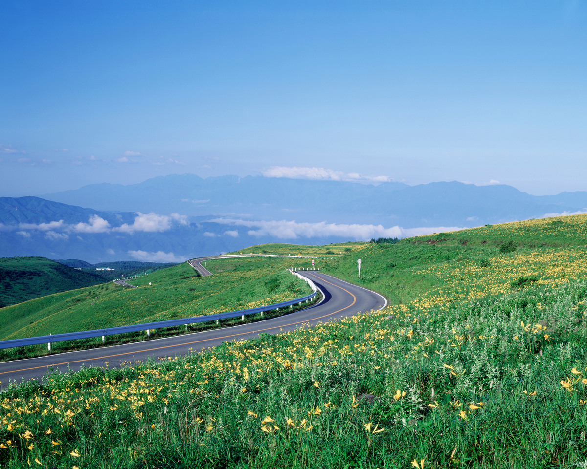 長野県ビーナスライン完全攻略2026！絶景と通行止め回避の鉄則