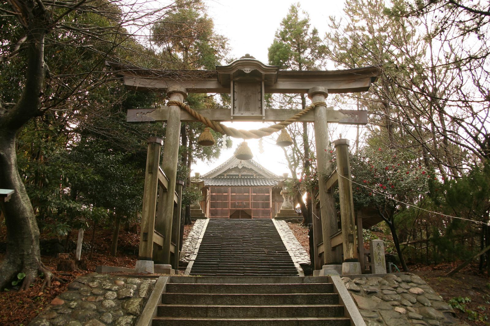 国分寺・本多八幡神社の歴史とご利益！御朱印や見どころ徹底解説