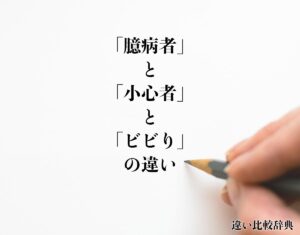 【2026最新】 小心 者 と は 徹底解説＆真相まとめ #962