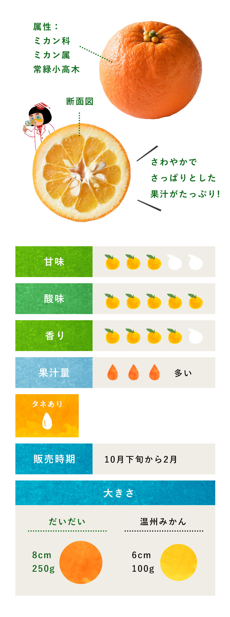 【2026年最新】「だいだい」の本当の意味を知ってる？橙・代々・大々の違いから伝統文化と最新トレンドまで徹底解析