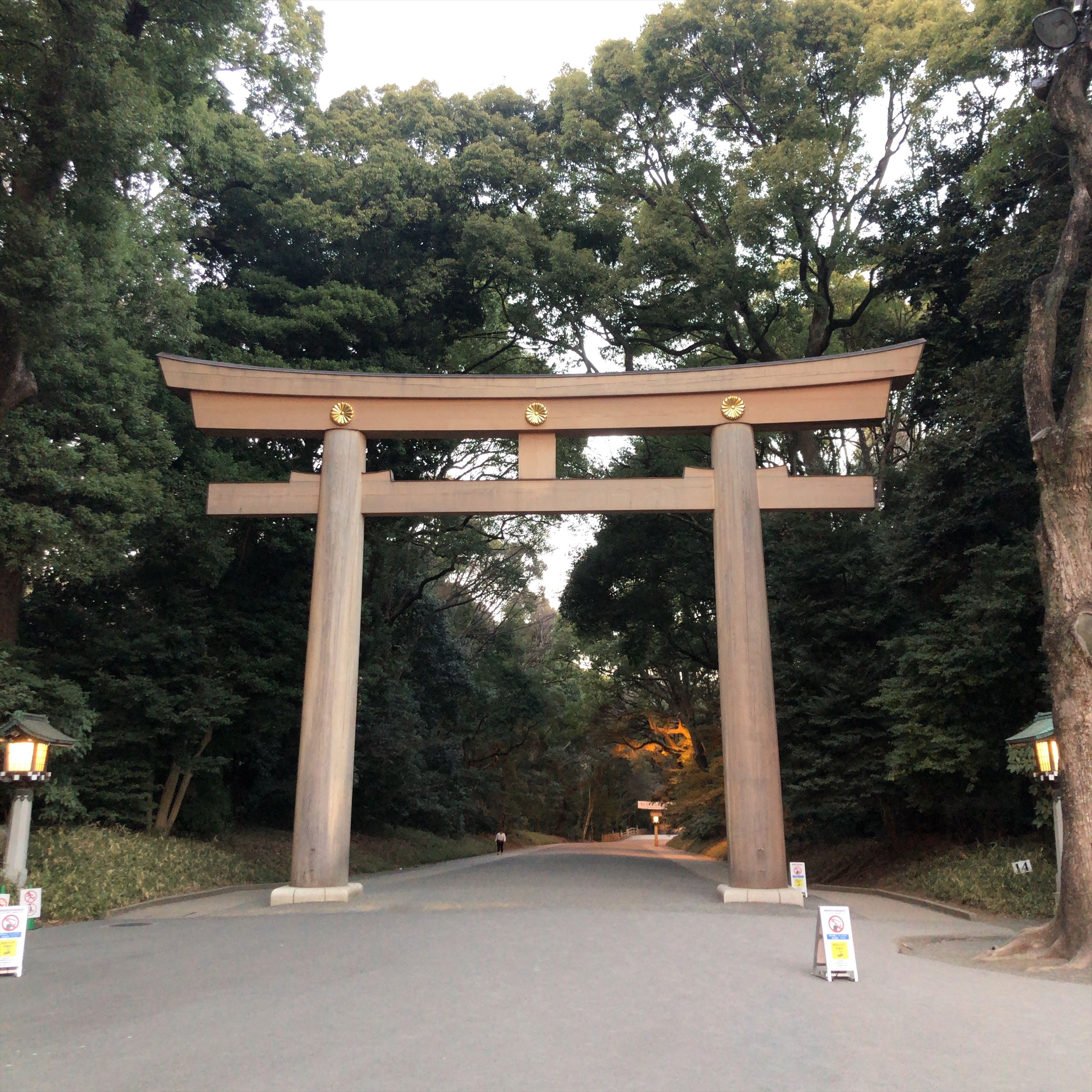 令和の杜が紡ぐ新たな美。2026年、明治神宮の御朱印帳デザインが一新された理由と、手に入れるべき至高の1冊