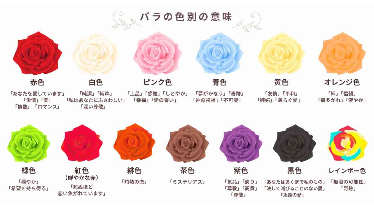 バラの花言葉と色の真相2026！贈ると危険な裏の意味と本数一覧
