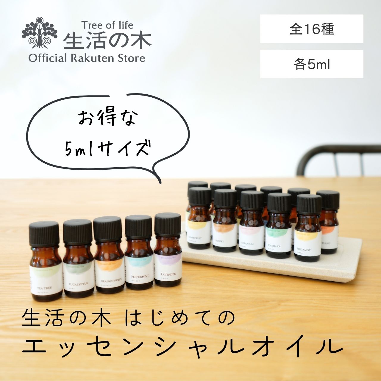 生活の木が選ばれ続ける理由とは？リアルな評判と2026年最新の真価