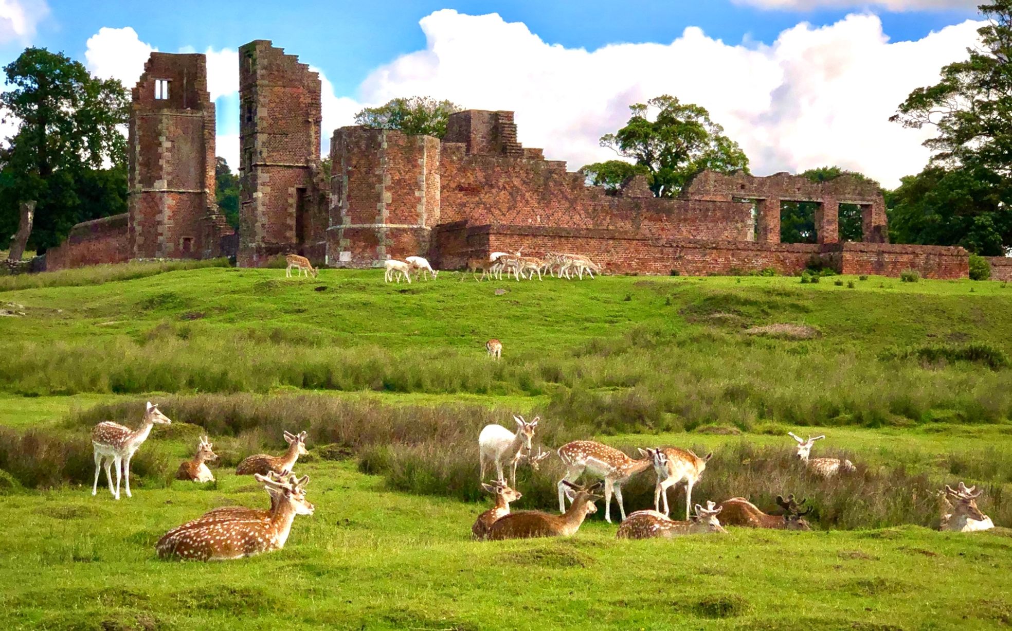 Bradgate Park Bradgate Park Newtown Linford Leicester
