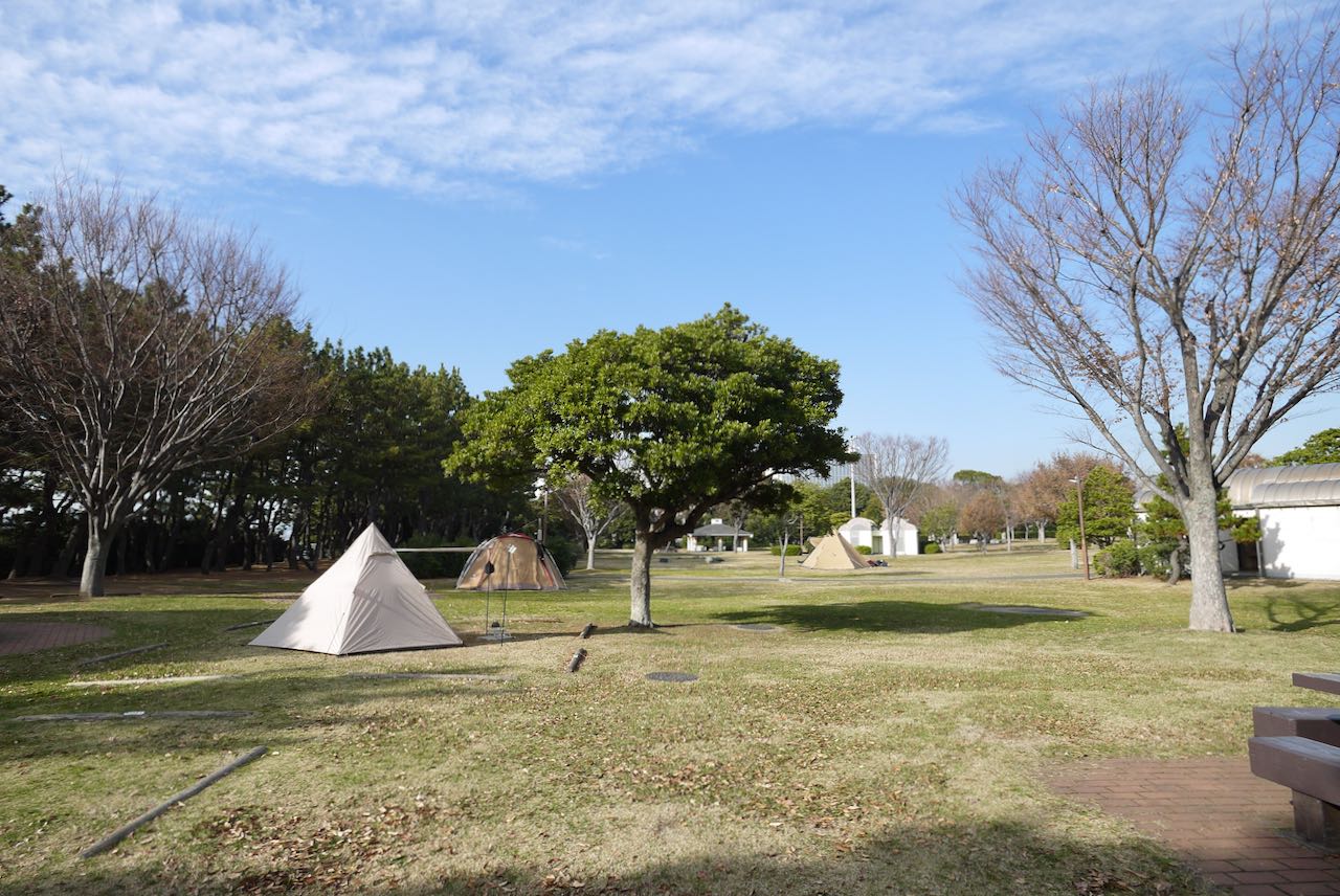 若洲キャンプ場なぜ予約殺到？絶景と手ぶらBbqの魅力＆裏技徹底解説