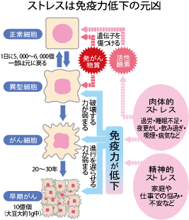 以上・以下は数字を含む？未満・超えるとの違いと一瞬の覚え方