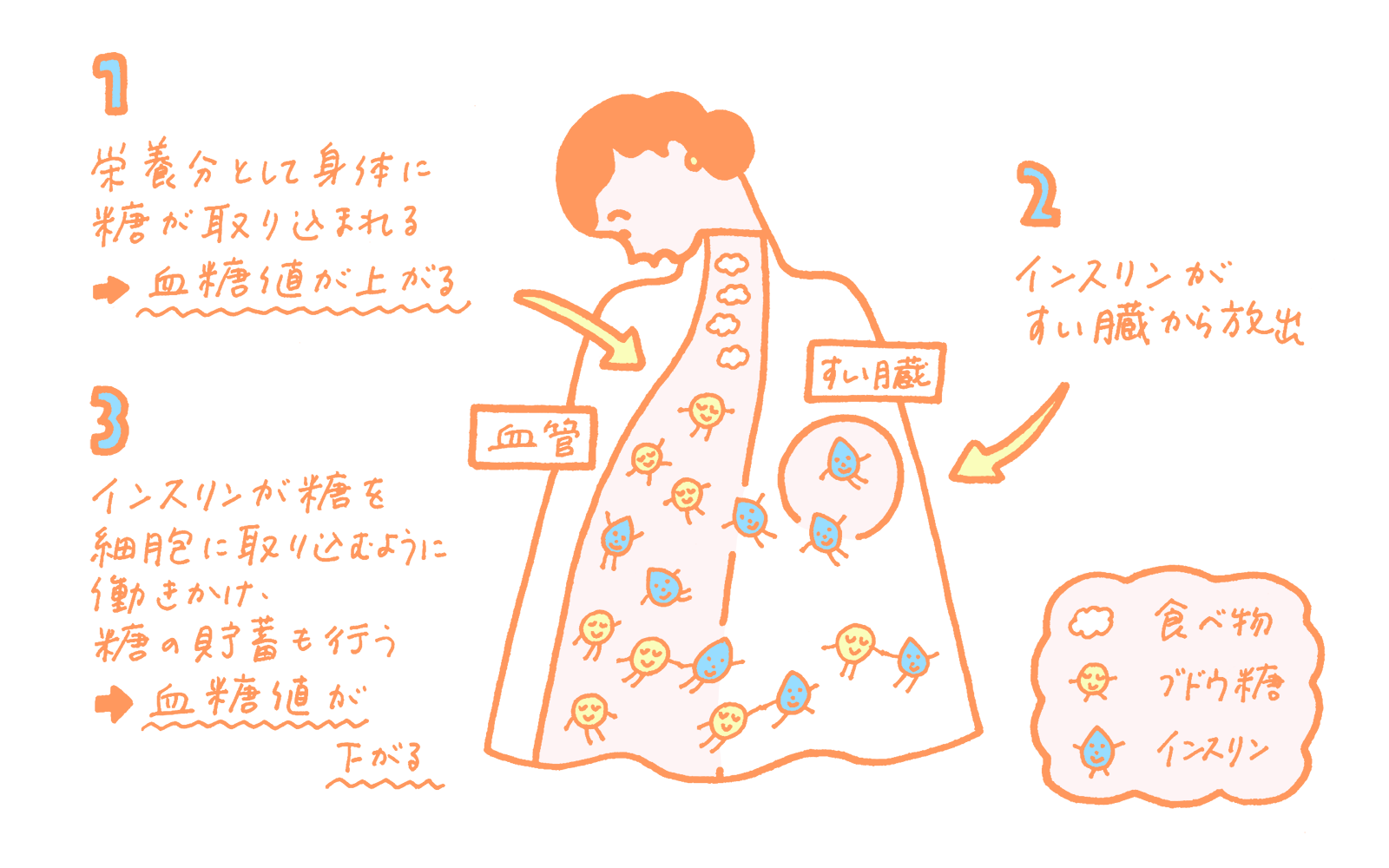 食後に襲う猛烈な眠気は病気のサイン？血糖値スパイクの真実と撃退法
