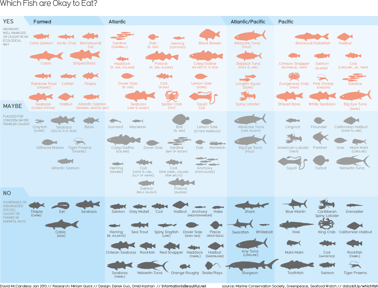 What Is the Least Fishy Tasting Fish