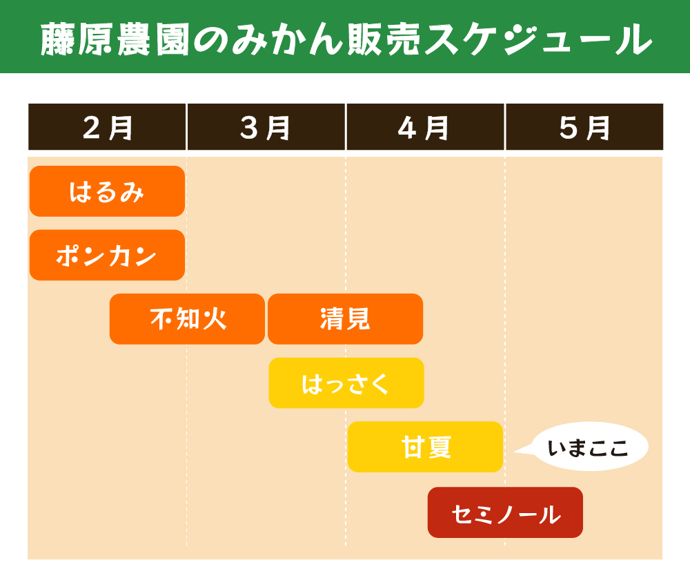 甘夏の旬は春から初夏！収穫時期とのズレの真相と美味しい見分け方