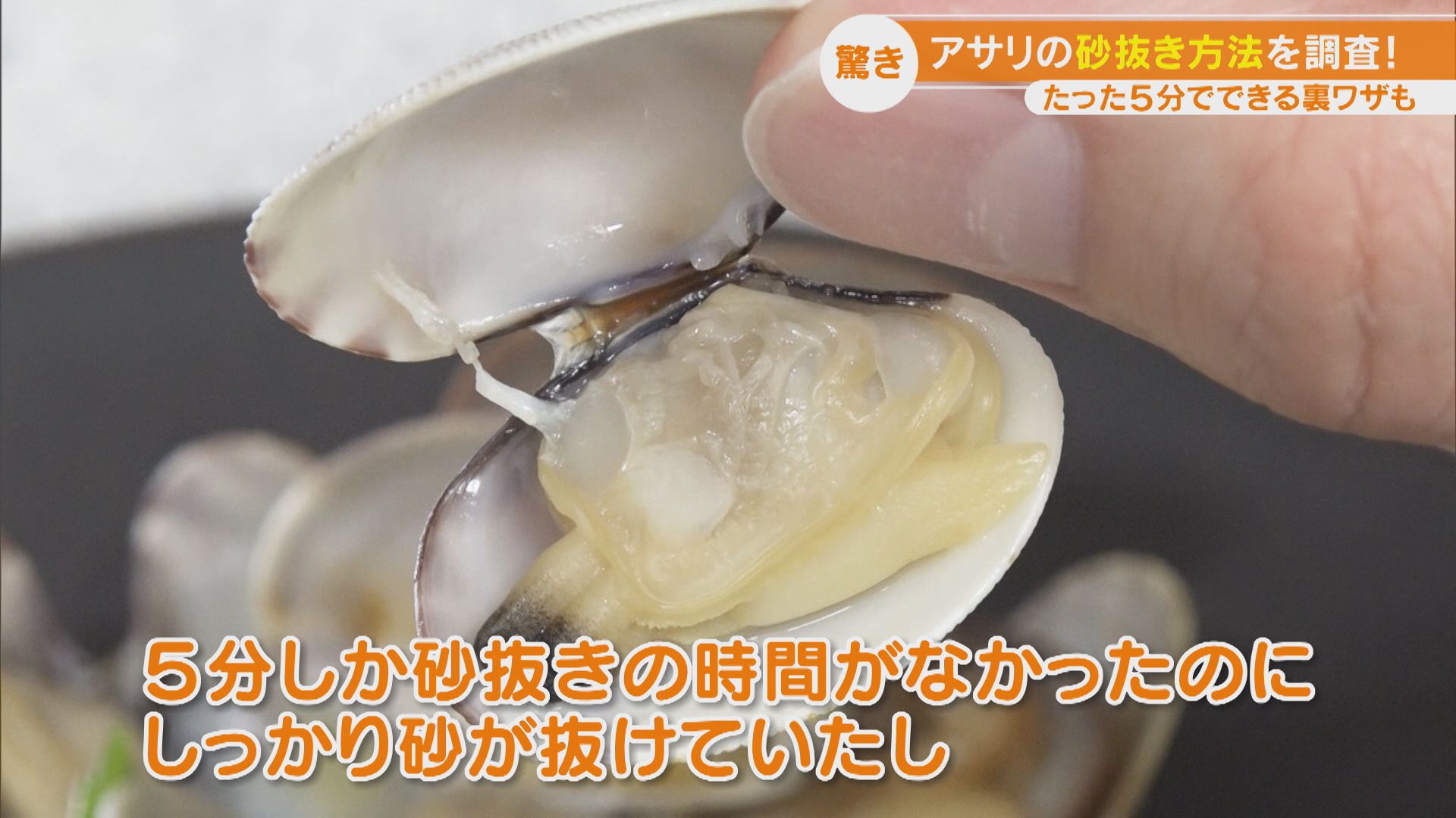 あさりの砂抜き決定版！5分時短の裏技と失敗しない黄金比