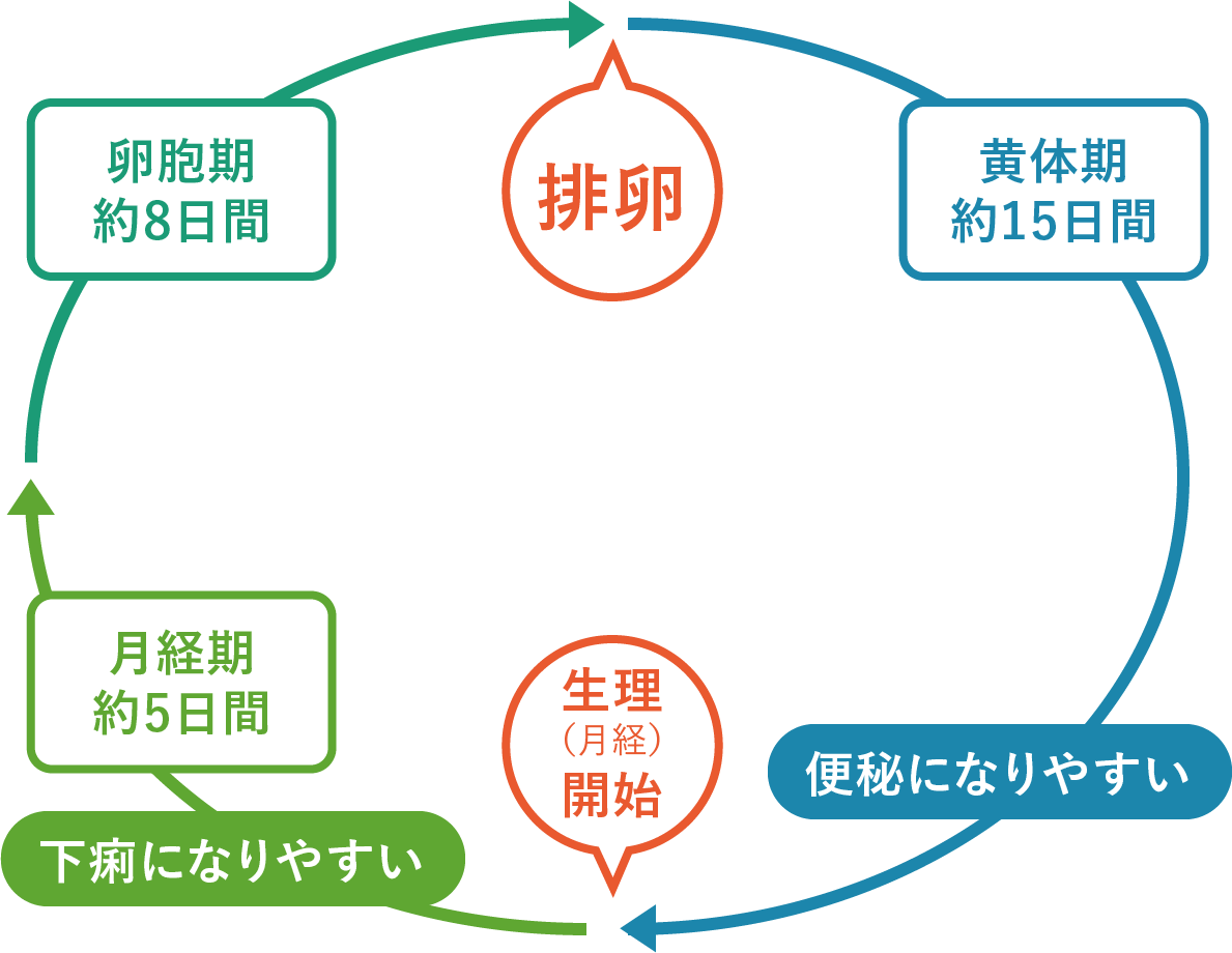 生理中の下痢と腹痛なぜ？決定的な原因と今すぐできる対処法まとめ