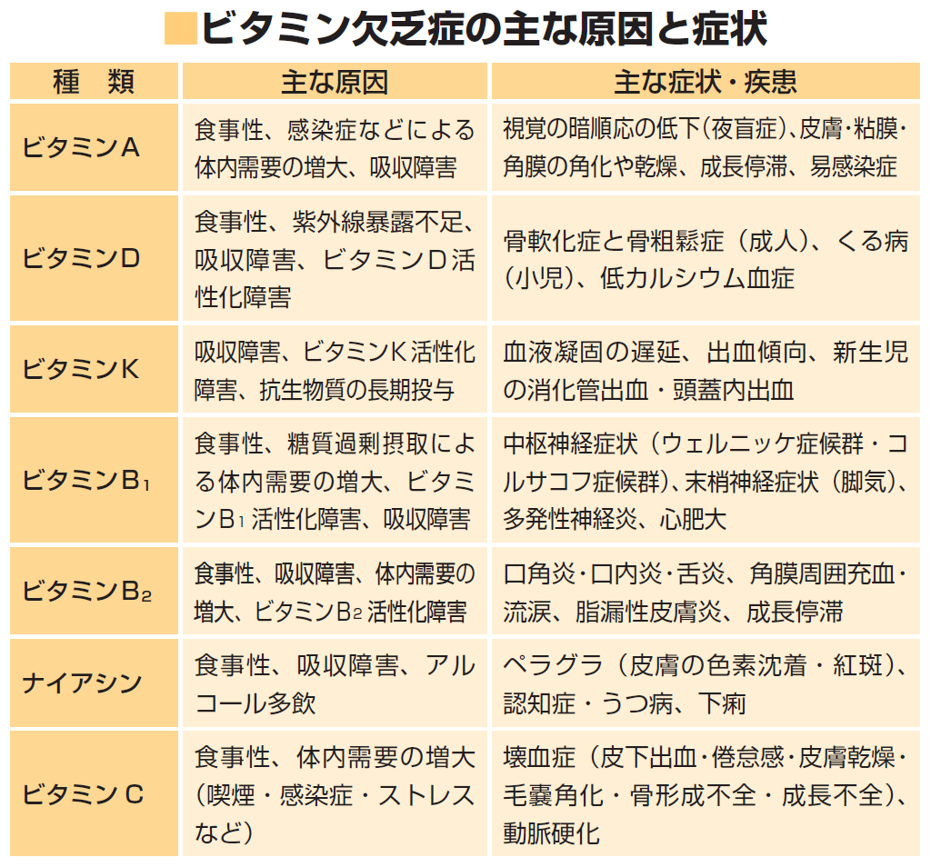【2026年最新】ビタミン欠乏症の覚え方！国試頻出語呂合わせ完全攻略