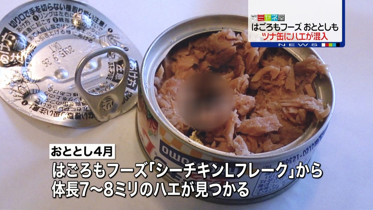 ツナ缶ゴキブリ混入の真相と裁判判決｜公表遅れや現在の安全性を徹底解説