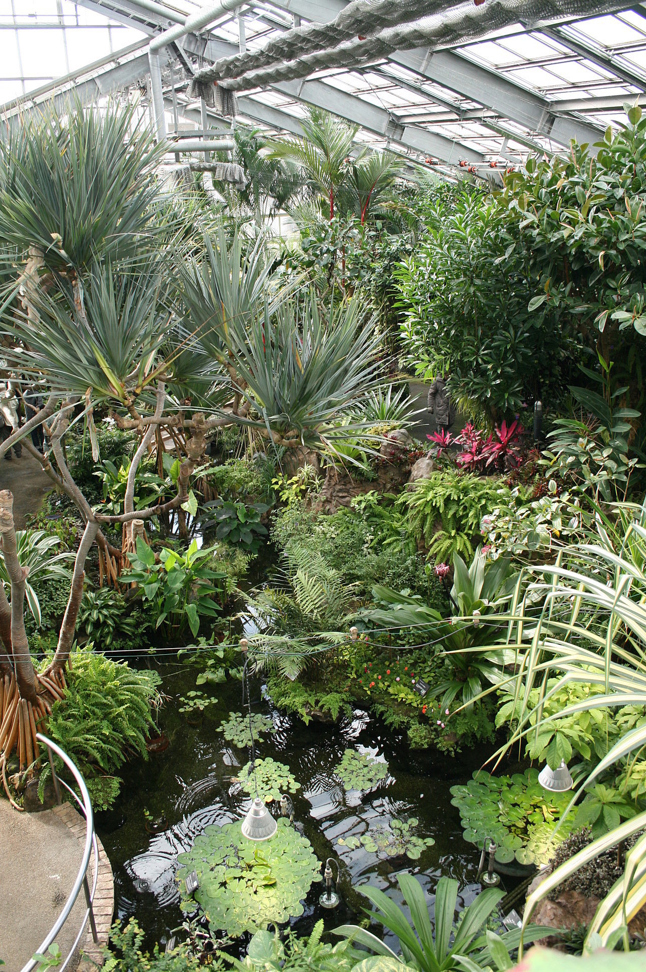 宇治市植物公園の最新見どころガイド｜イベント・混雑と割引の全貌