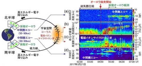 【2026年衝撃】エリア51から流出した「拘束された地球外生命体」の極秘映像、専門家が本物と断定か
