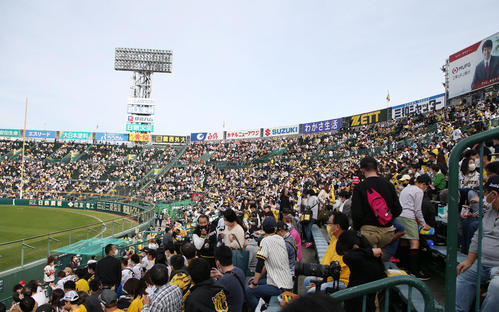 【必見】 甲子園 球 数 制限 2026年最新メディア #810