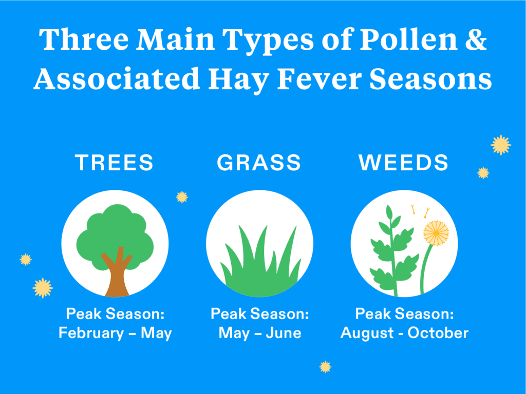 When Does Hay Fever Season Start