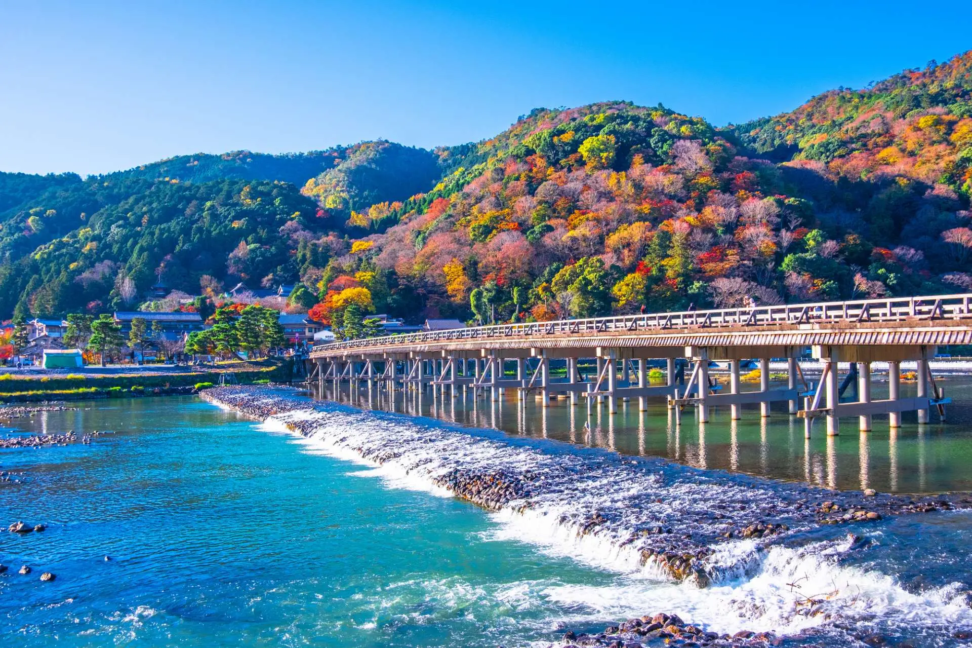 嵐山名物「湯葉チーズ」はなぜ人気？味の評判やおすすめ店舗を徹底解説