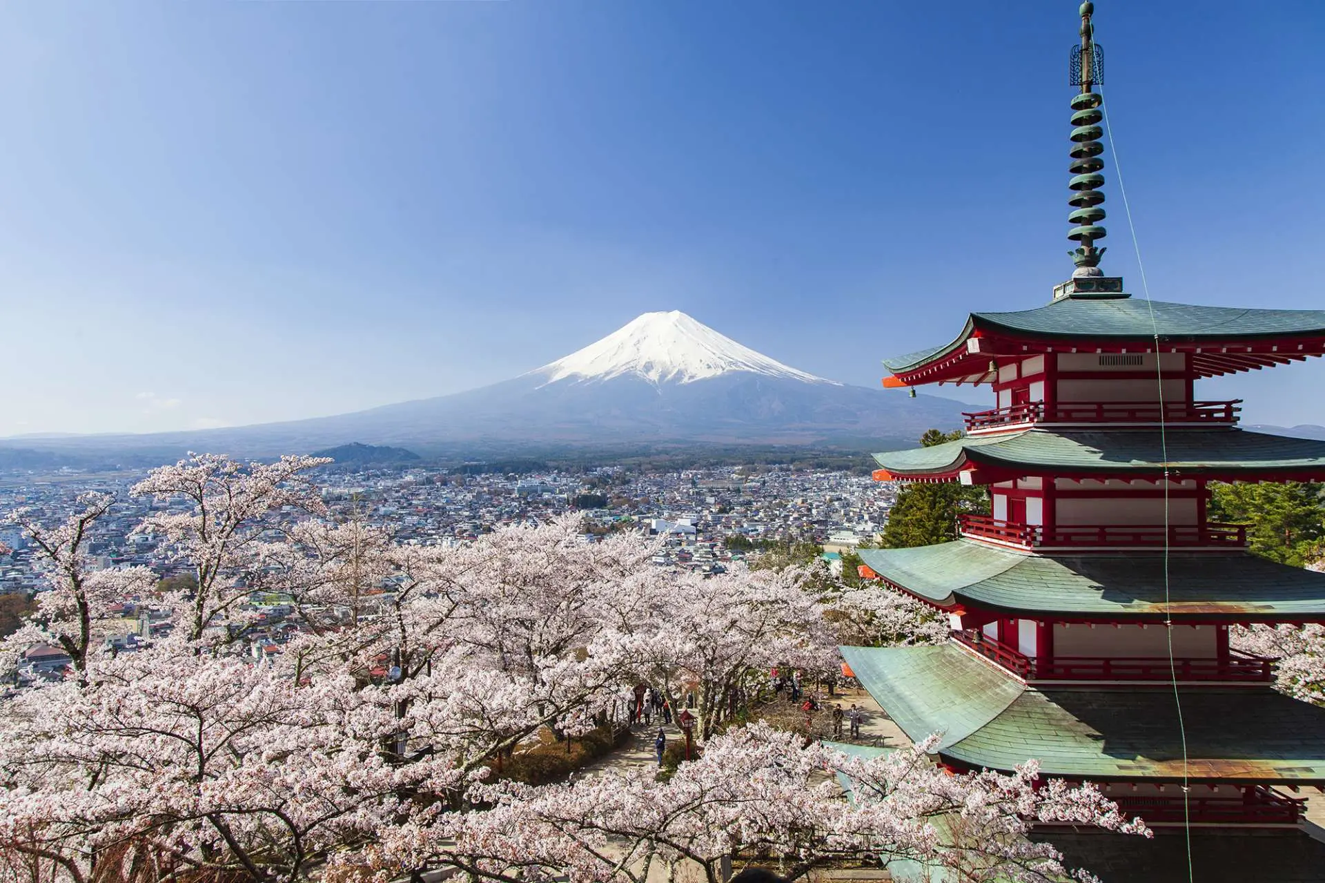 新倉富士浅間神社の絶景攻略！混雑回避・階段と見頃を徹底解説