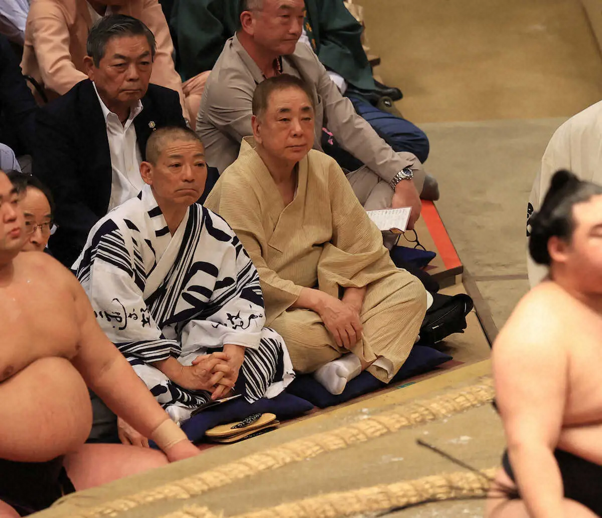 相撲中継の砂かぶり席に芸能人が座れる理由とは？映り込みの真相に迫る