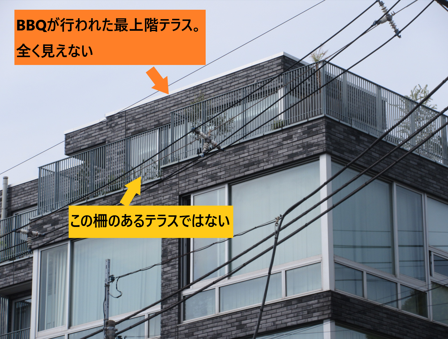 東京テラスに芸能人が住む噂の真相！目撃情報と人気の理由を徹底検証