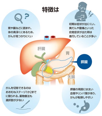【2026最新】 消化 試合 と は 話題のSns投稿まとめ 2026 #976