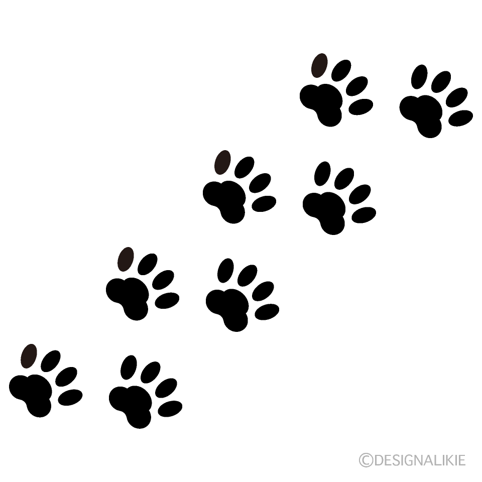 犬の足跡と猫・タヌキの見分け方！床に残る謎と健康サイン徹底解明
