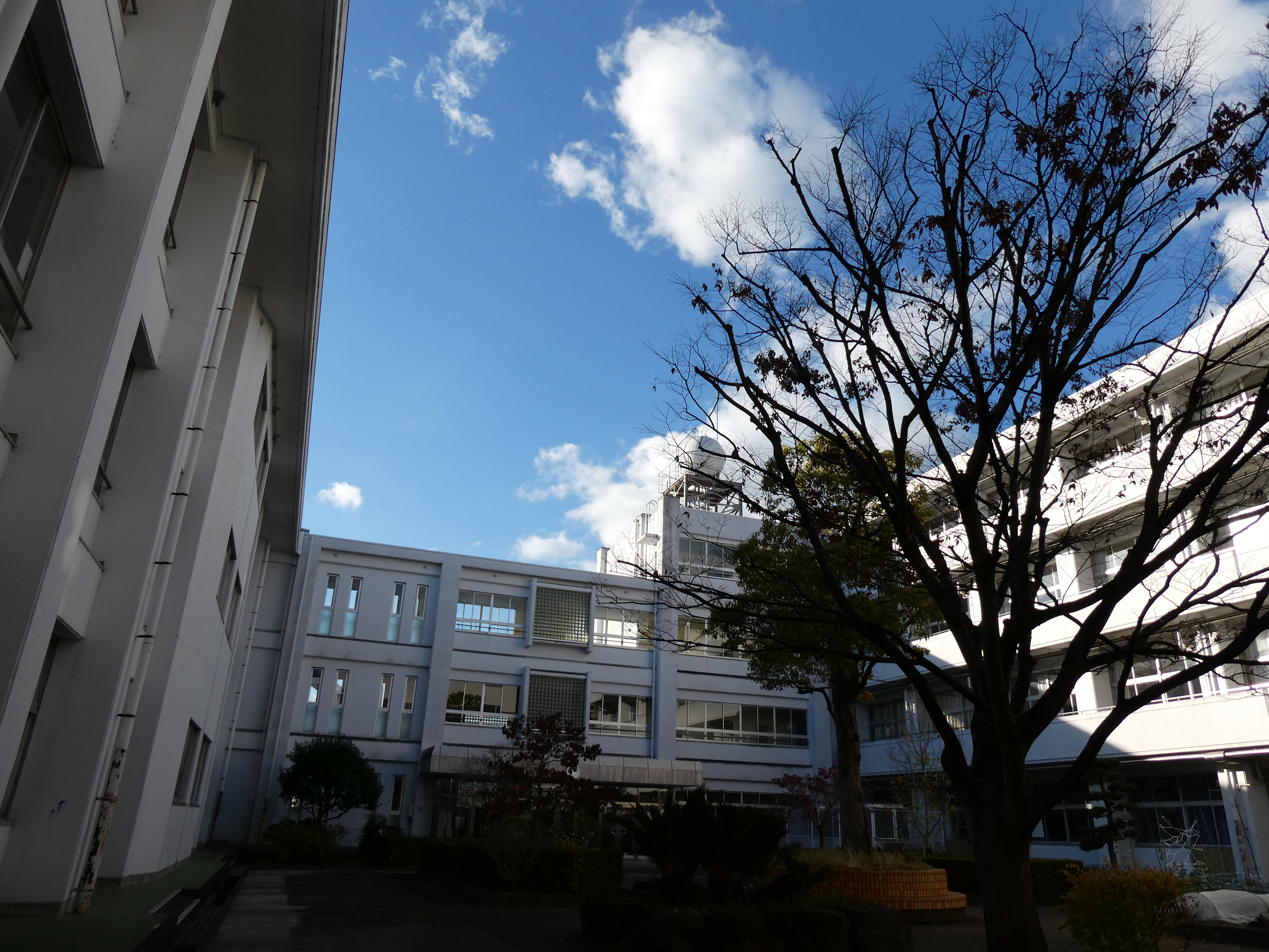 岩出市立岩出第二中学校のリアルな評判と学力・制服事情を徹底検証