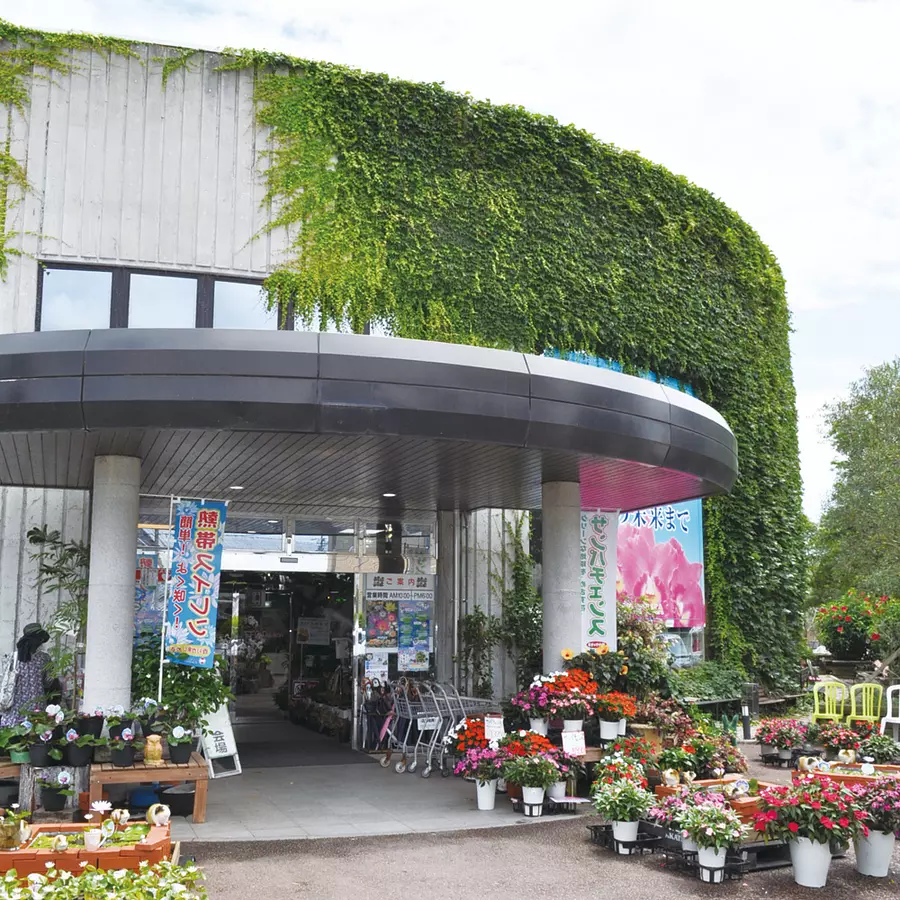 赤塚植物園の魅力と混同の真相｜入場料や見頃・穴場を徹底解説