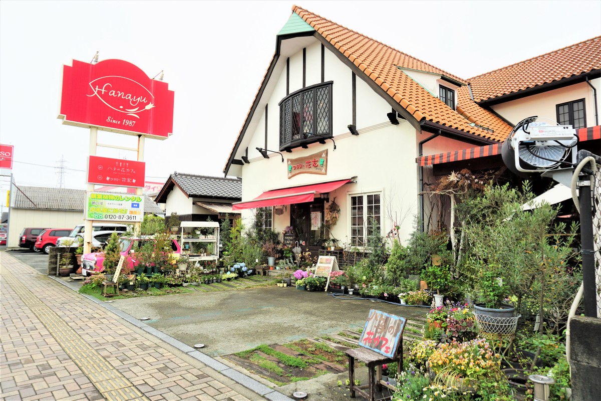 日本最大級の植物イベント花友フェスタ！限定グッズと混雑回避法