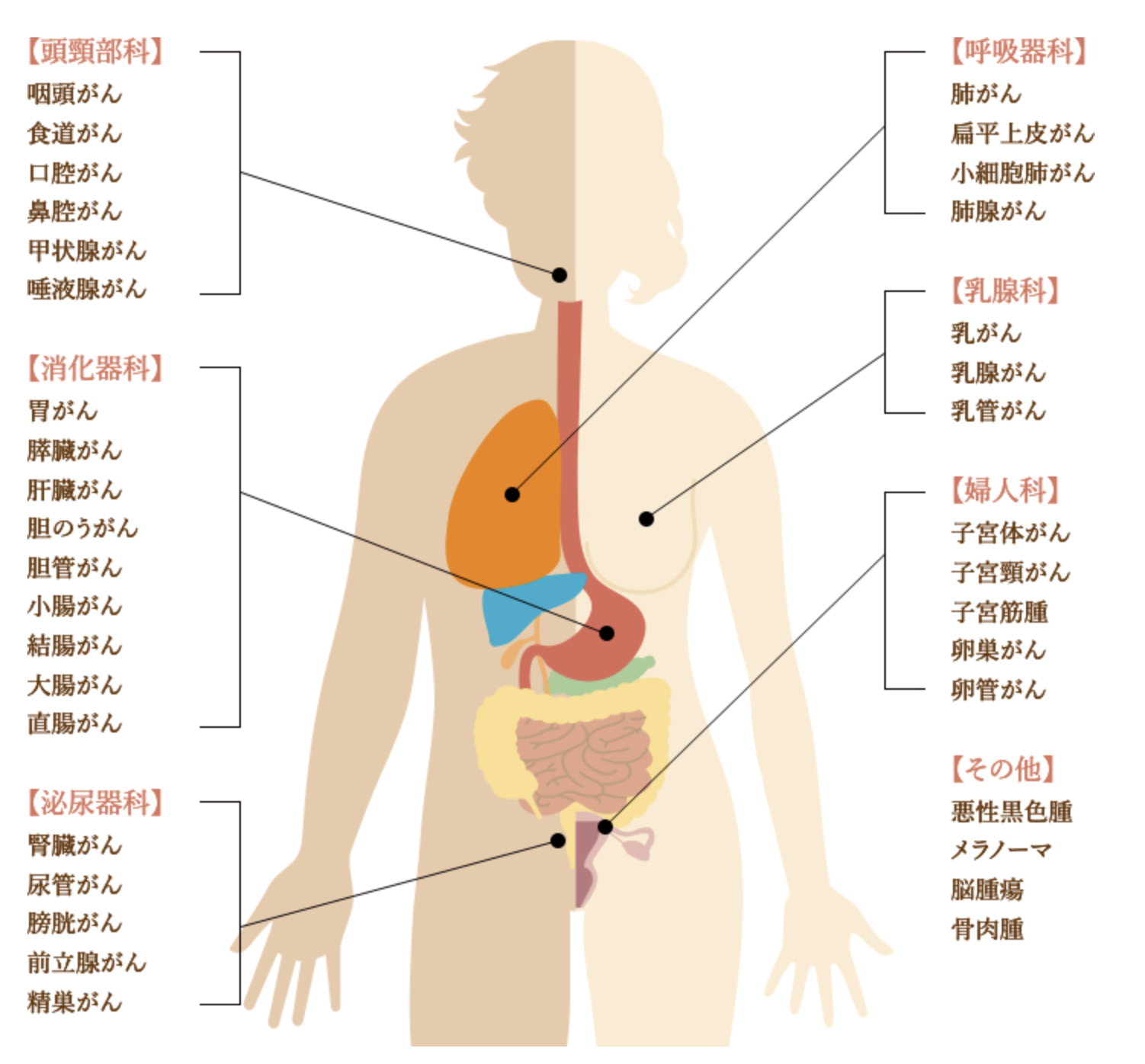 右肋骨を押すと痛いのはがん？危険なサインの見分け方と受診科ガイド