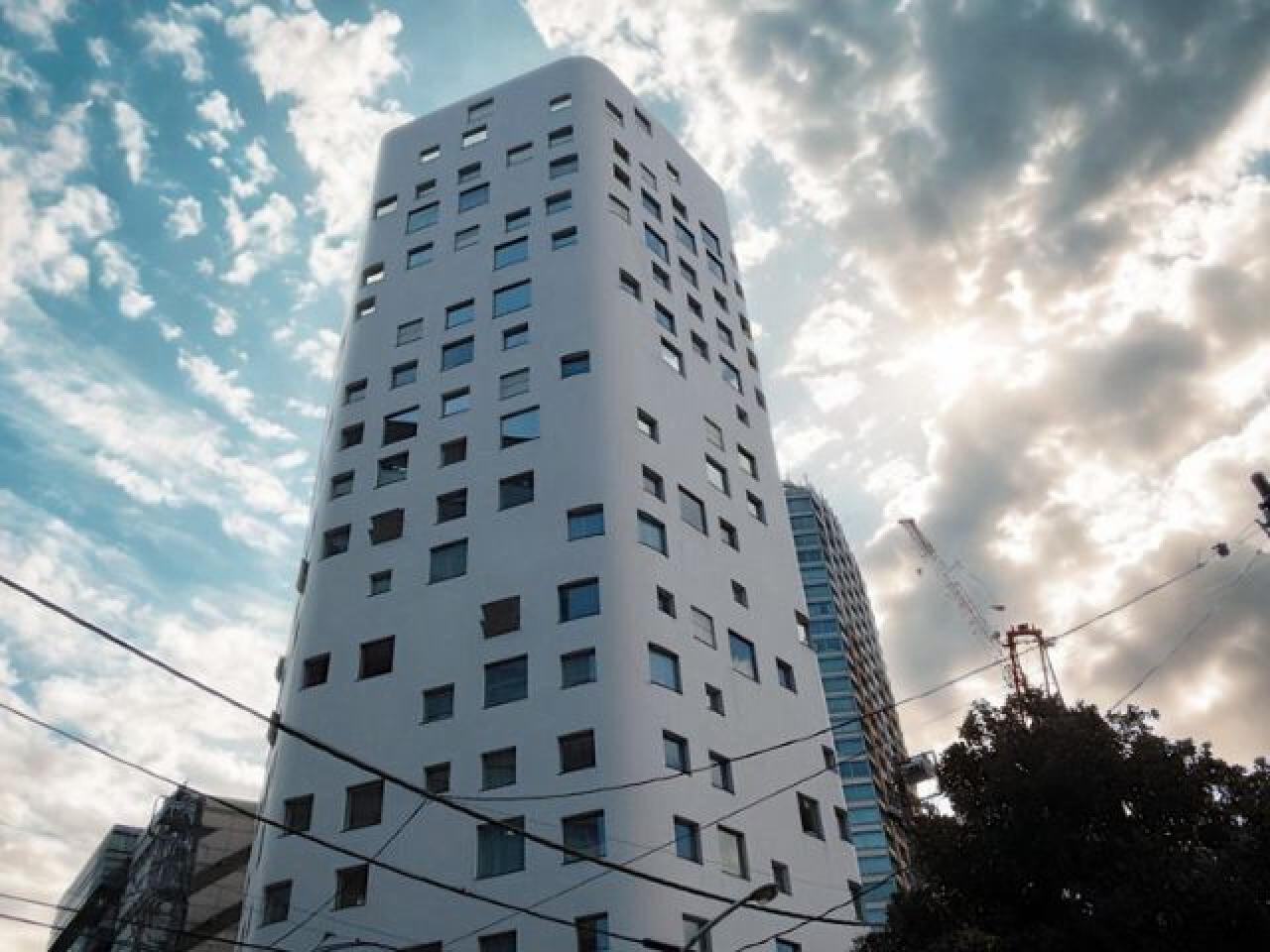 メディア沸騰！さつまいも農カフェきららの実力と予約の極意【2026】