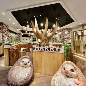 【動画まとめ】 Hedgehog Cafe & Pet Store Harry Harajuku 徹底解説＆真相まとめ #627